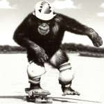 monkey stance